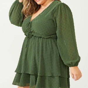 Arula Adelyn Clipdot Dress size X Olive Green